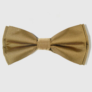 PAJARITA PUNTILLÉ LISA