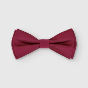 PAJARITA PUNTILLÉ LISA