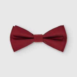 PAJARITA PUNTILLÉ LISA