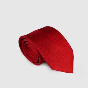 CORBATA FANTASÍA